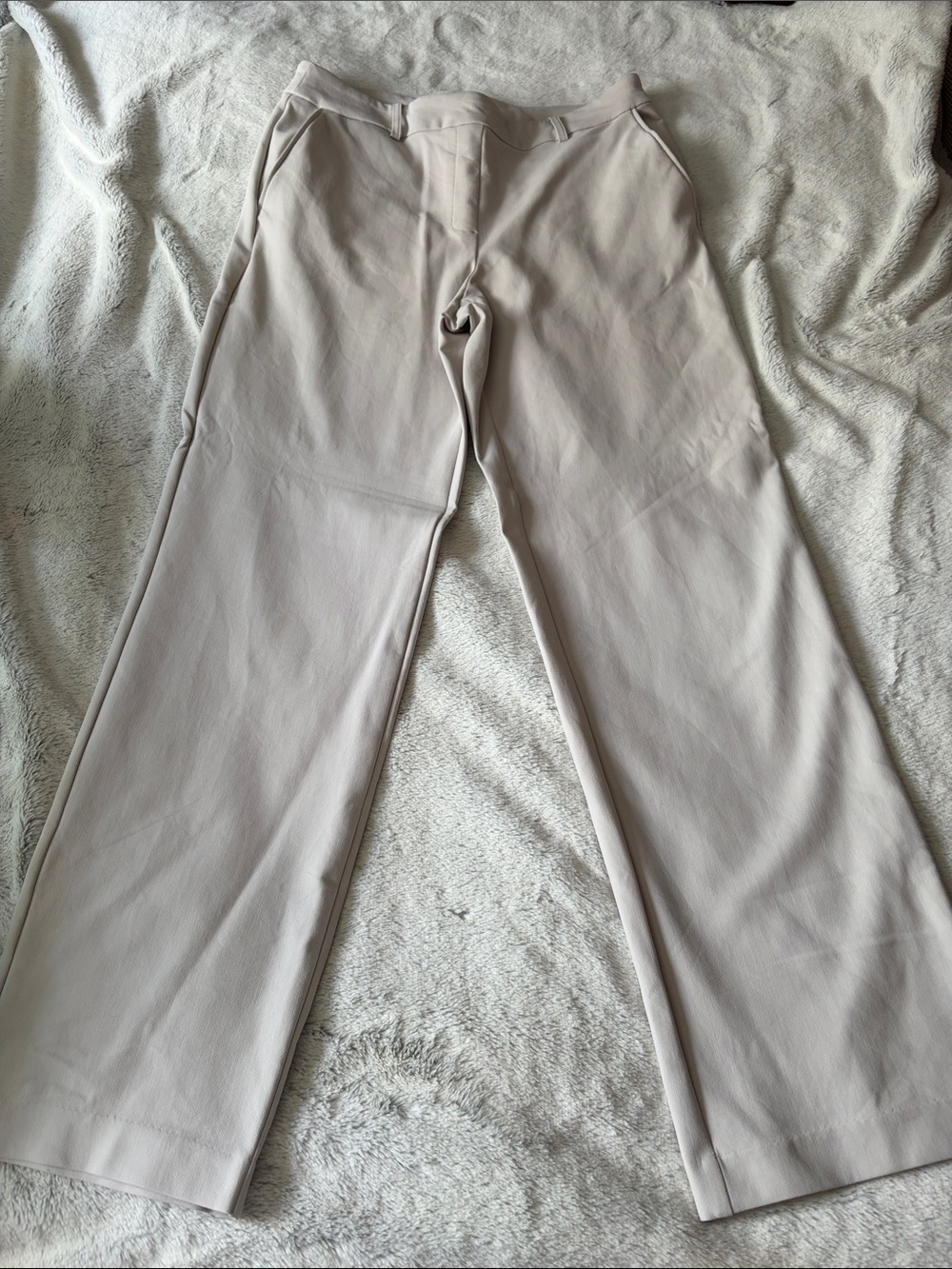Rachel Zoe Wide-Leg Trousers in Light Taupe